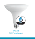 LED Multi-Pack PAR38 Wet Location Lamp, 2-Pack - 4.8", 13W, 50K