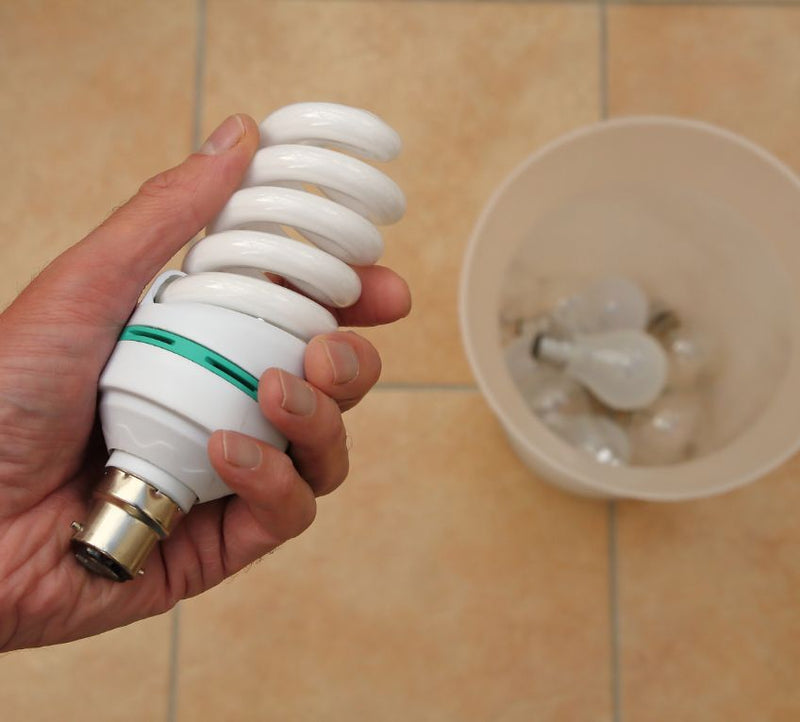 The Right Way To Dispose of Old Light Bulbs