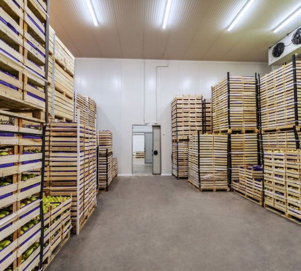 Why LED Lights Are Ideal for Cold Storage Facilities