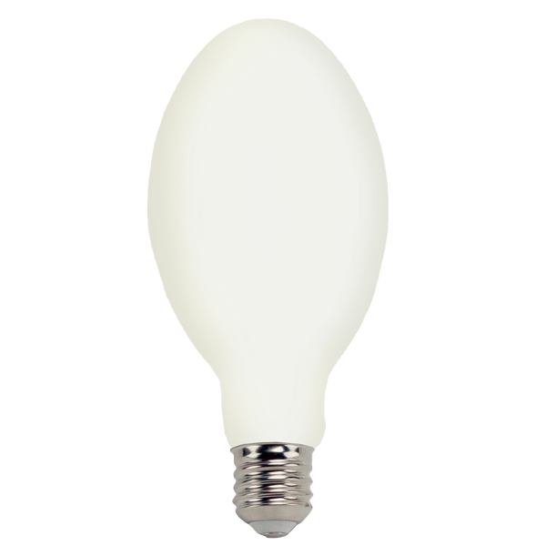 High Lumen LED Filament ED37 Lamp Frost - 11.5", 60W, 40K