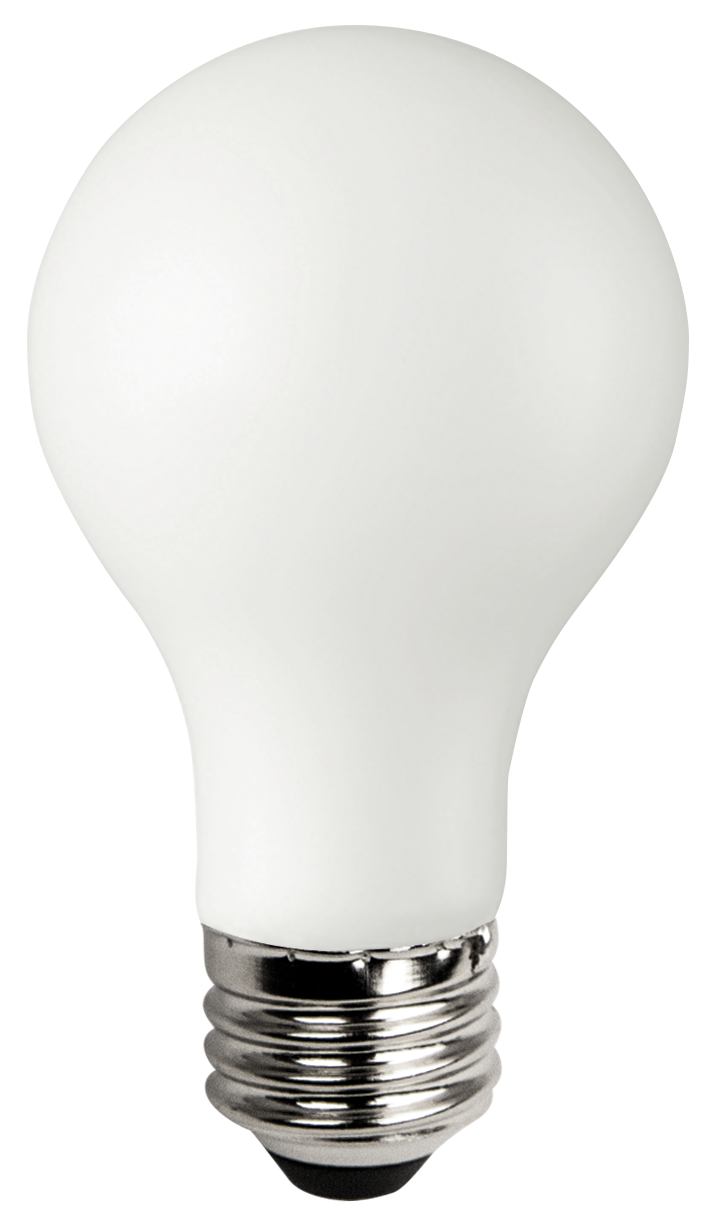 ProLine LED A19 Lamp - 2.4", 8W, 50K